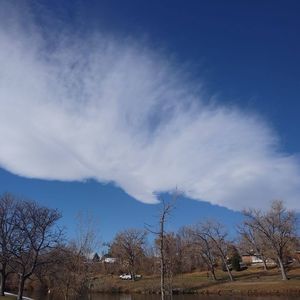 Meet your Posher, Pauline